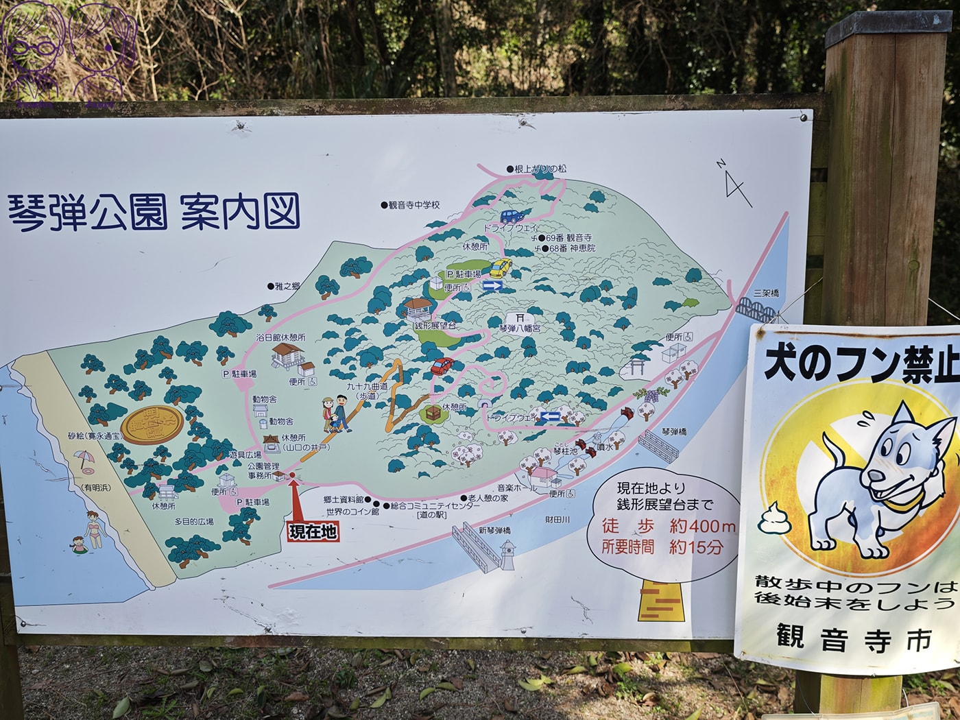 看一眼就發財?🌸日本賞櫻百選:琴彈公園的神祕開運砂繪💰 - 第2張圖 看一眼就發財?🌸日本賞櫻百選:琴彈公園的神祕開運砂繪💰