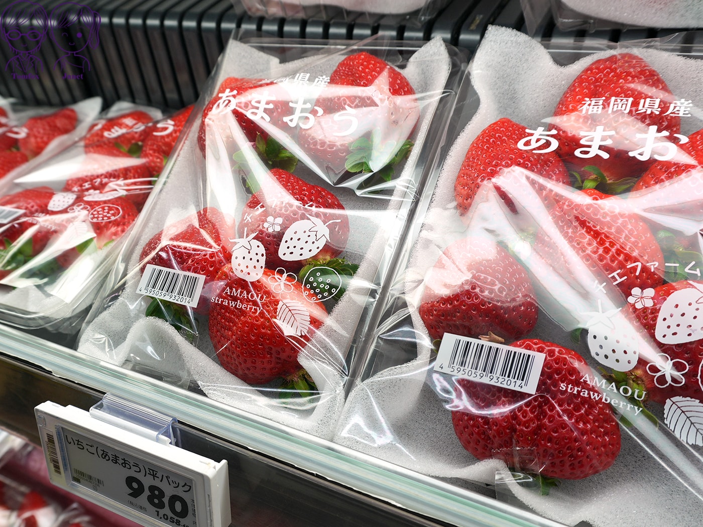 九州草莓攻略|福岡天神AEON、阿蘇道之駅、熊本HalloDay採買推薦!甘王、熊紅、白草莓一次買 - 第3張圖 九州草莓攻略|福岡天神AEON、阿蘇道之駅、熊本HalloDay採買推薦!甘王、熊紅、白草莓一次買