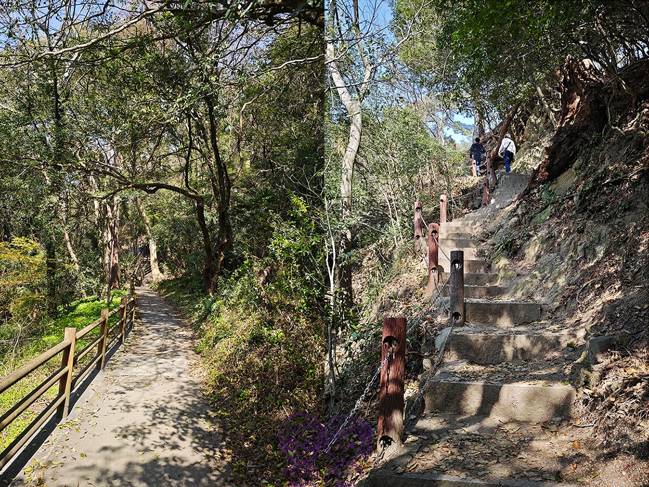 看一眼就發財?🌸日本賞櫻百選:琴彈公園的神祕開運砂繪💰 - 第20張圖 看一眼就發財?🌸日本賞櫻百選:琴彈公園的神祕開運砂繪💰