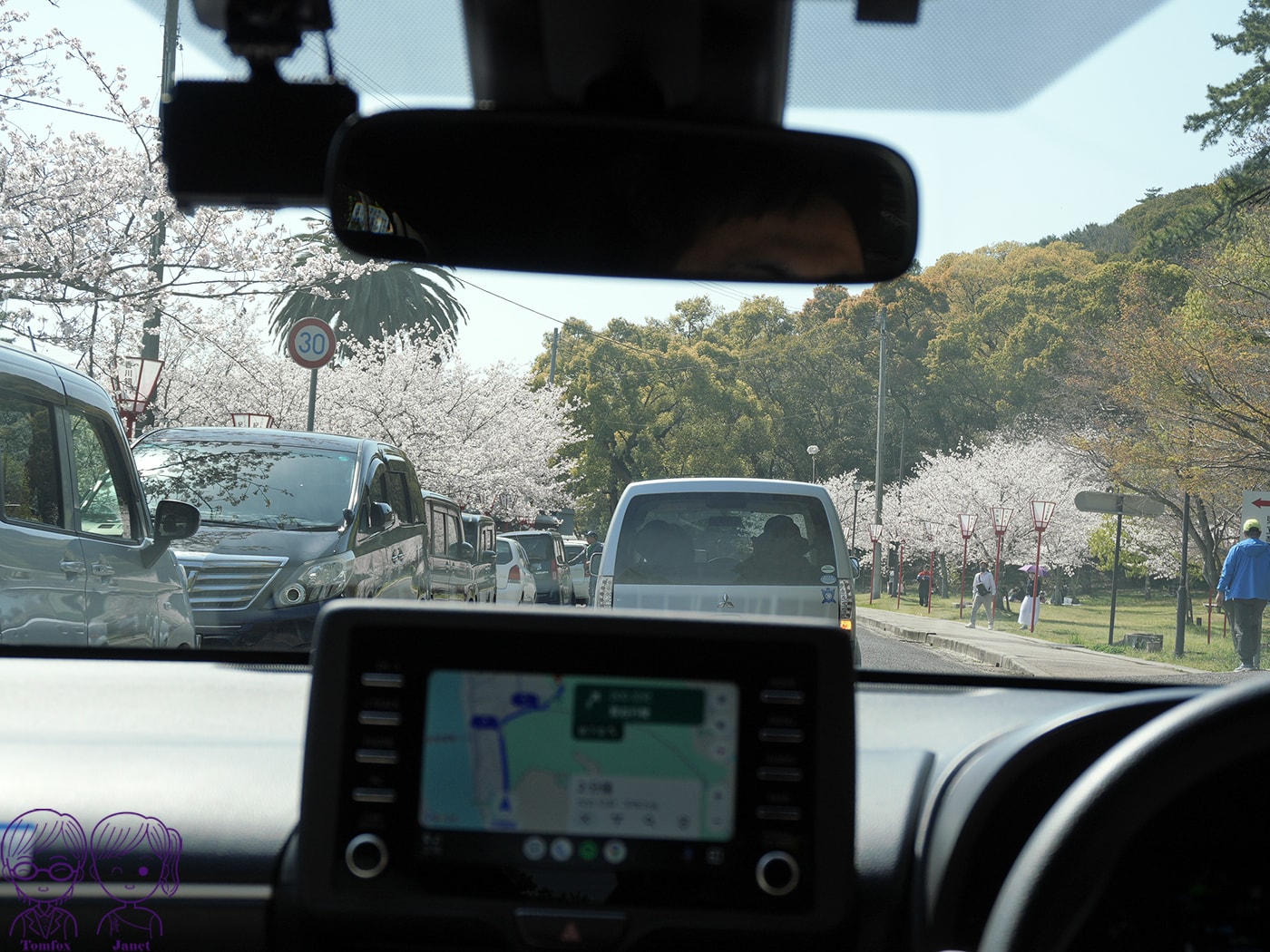 看一眼就發財?🌸日本賞櫻百選:琴彈公園的神祕開運砂繪💰 - 第3張圖 看一眼就發財?🌸日本賞櫻百選:琴彈公園的神祕開運砂繪💰
