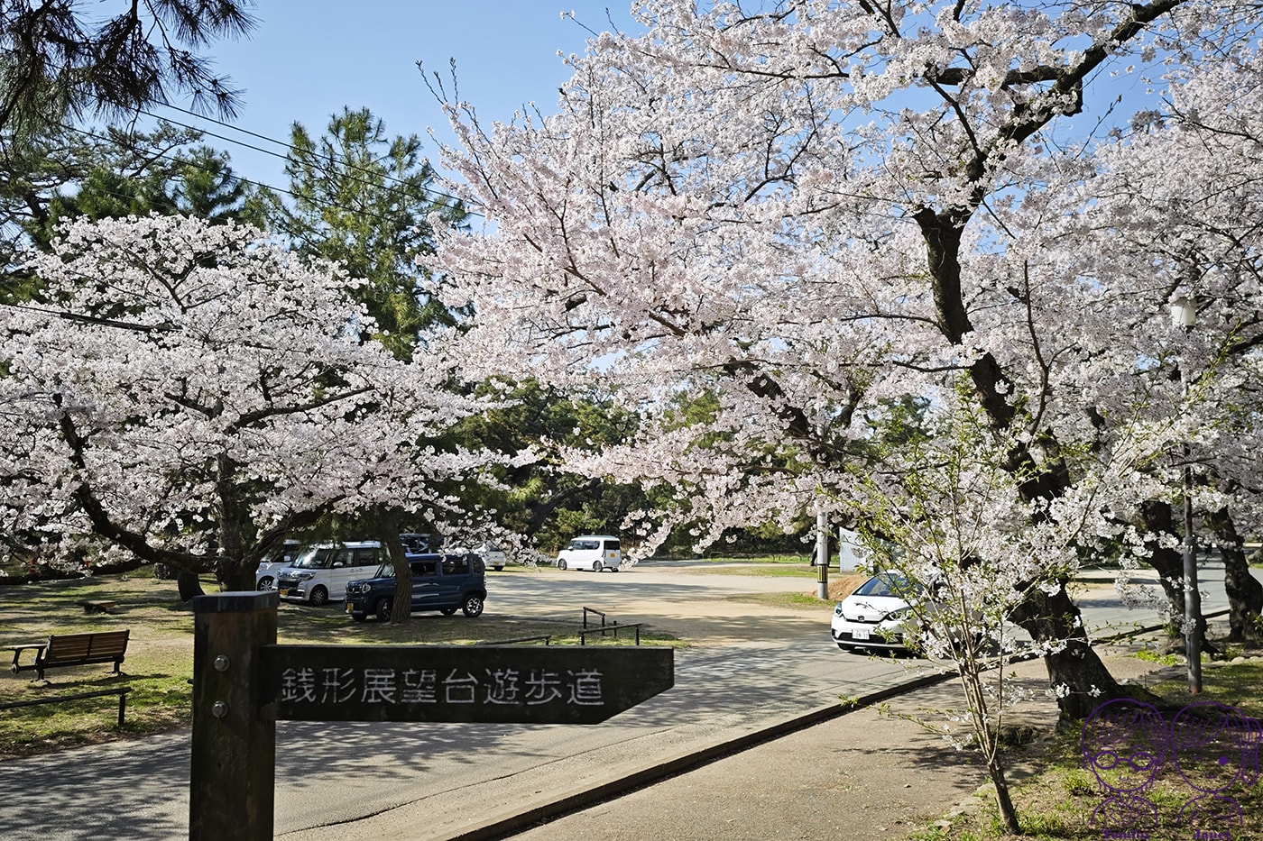 看一眼就發財?🌸日本賞櫻百選:琴彈公園的神祕開運砂繪💰 - 第27張圖 看一眼就發財?🌸日本賞櫻百選:琴彈公園的神祕開運砂繪💰