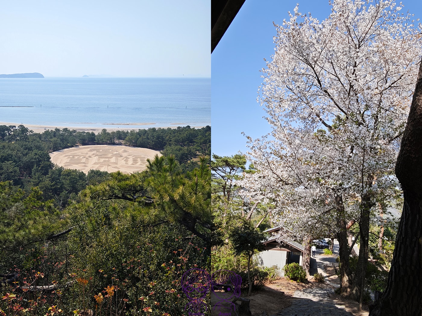 看一眼就發財?🌸日本賞櫻百選:琴彈公園的神祕開運砂繪💰 - 第28張圖 看一眼就發財?🌸日本賞櫻百選:琴彈公園的神祕開運砂繪💰