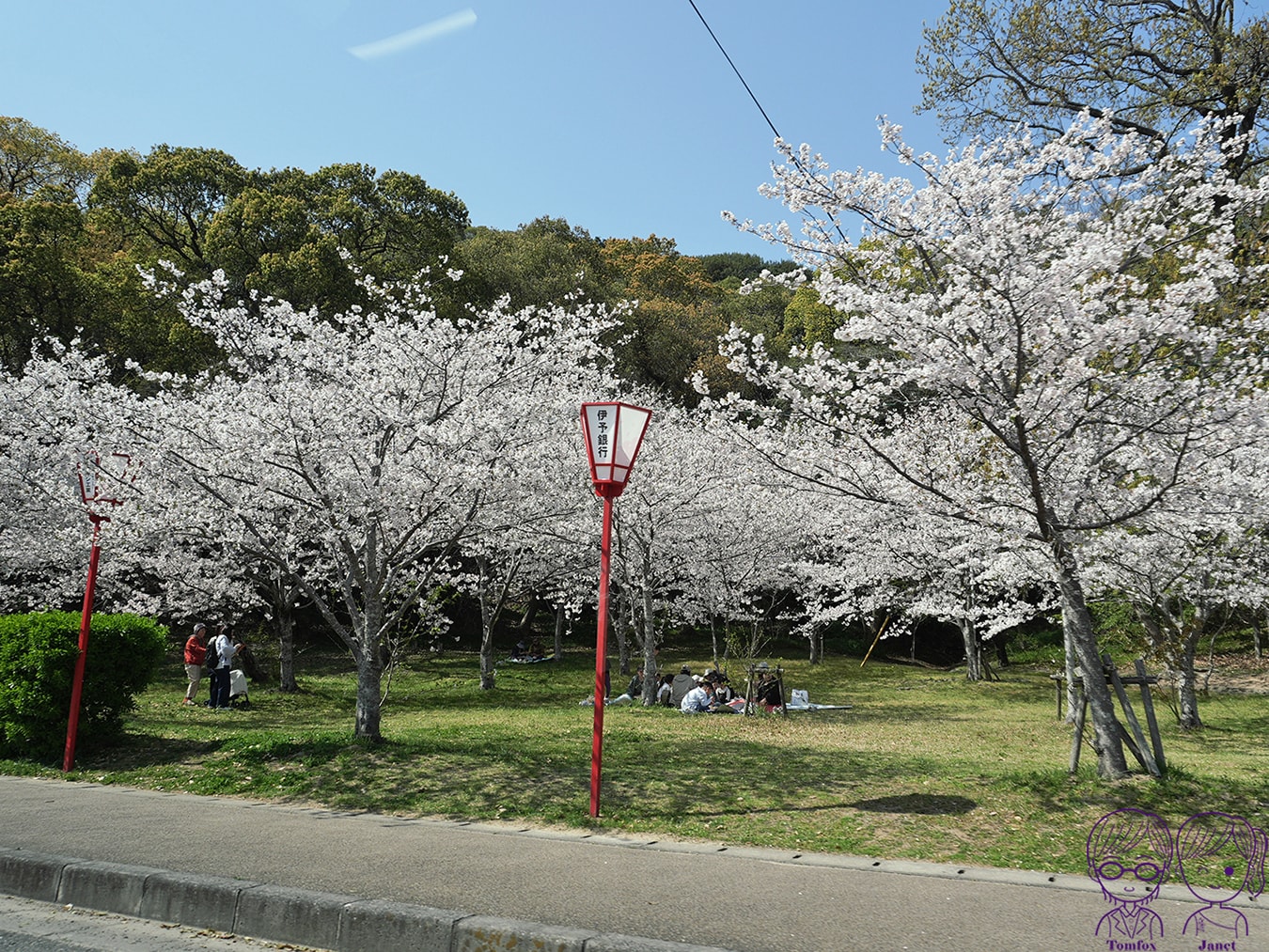 看一眼就發財?🌸日本賞櫻百選:琴彈公園的神祕開運砂繪💰 - 第4張圖 看一眼就發財?🌸日本賞櫻百選:琴彈公園的神祕開運砂繪💰