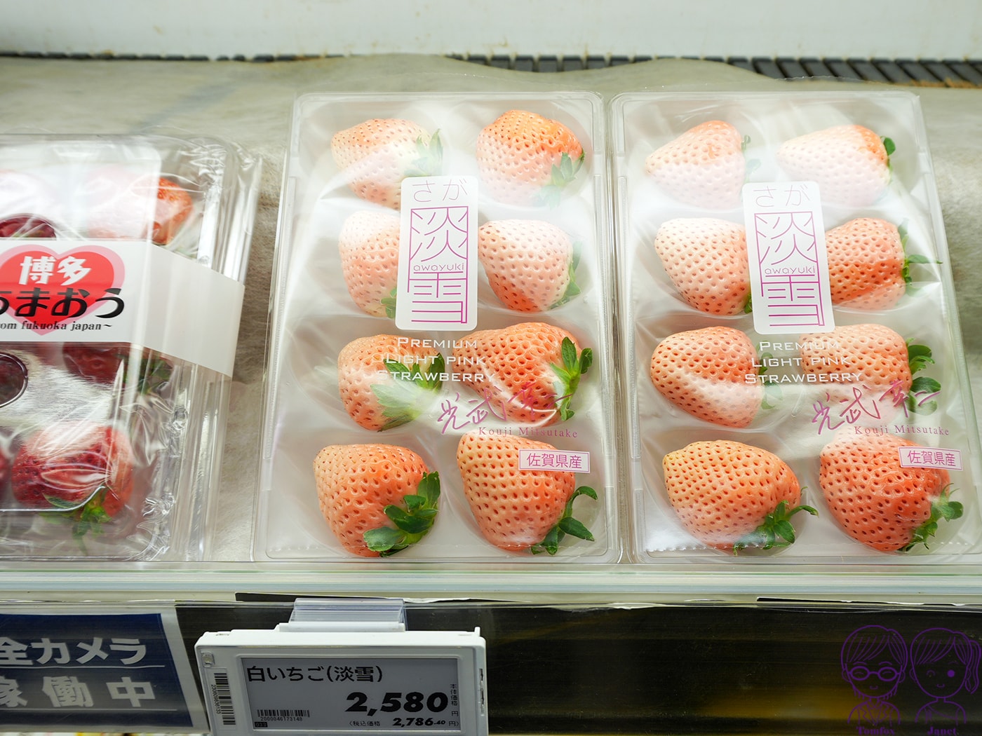 九州草莓攻略|福岡天神AEON、阿蘇道之駅、熊本HalloDay採買推薦!甘王、熊紅、白草莓一次買 - 第6張圖 九州草莓攻略|福岡天神AEON、阿蘇道之駅、熊本HalloDay採買推薦!甘王、熊紅、白草莓一次買