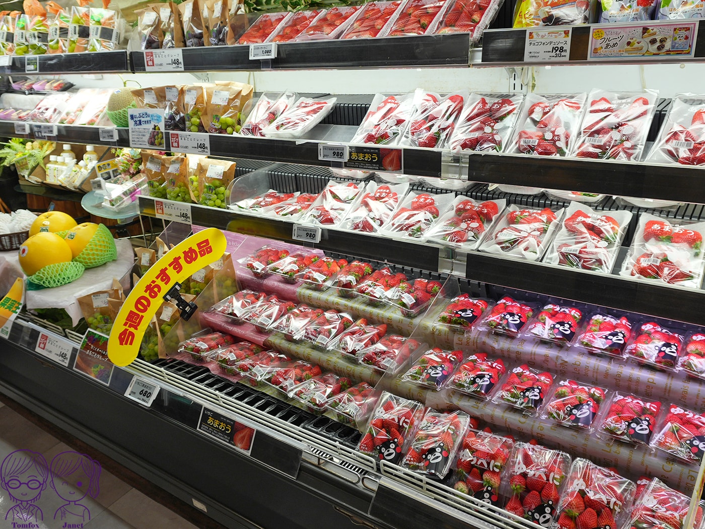 九州草莓攻略|福岡天神AEON、阿蘇道之駅、熊本HalloDay採買推薦!甘王、熊紅、白草莓一次買 - 第8張圖 九州草莓攻略|福岡天神AEON、阿蘇道之駅、熊本HalloDay採買推薦!甘王、熊紅、白草莓一次買