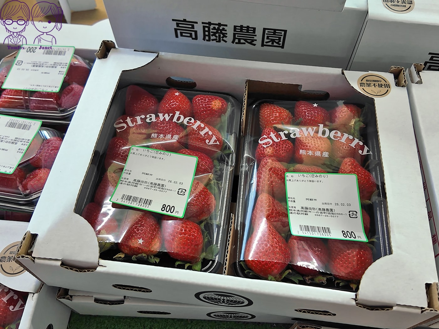 九州草莓攻略|福岡天神AEON、阿蘇道之駅、熊本HalloDay採買推薦!甘王、熊紅、白草莓一次買 - 第10張圖 九州草莓攻略|福岡天神AEON、阿蘇道之駅、熊本HalloDay採買推薦!甘王、熊紅、白草莓一次買