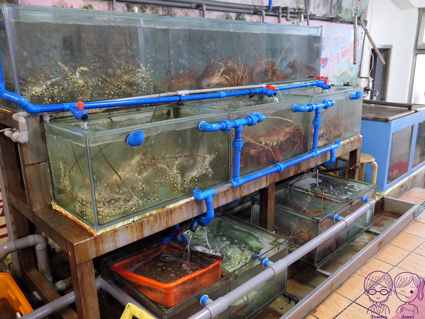貢寮美食|黑白毛海鮮:澳底漁港人氣老店!專屬漁船直送、附停車場 - 第6張圖 貢寮美食|黑白毛海鮮:澳底漁港人氣老店!專屬漁船直送、附停車場
