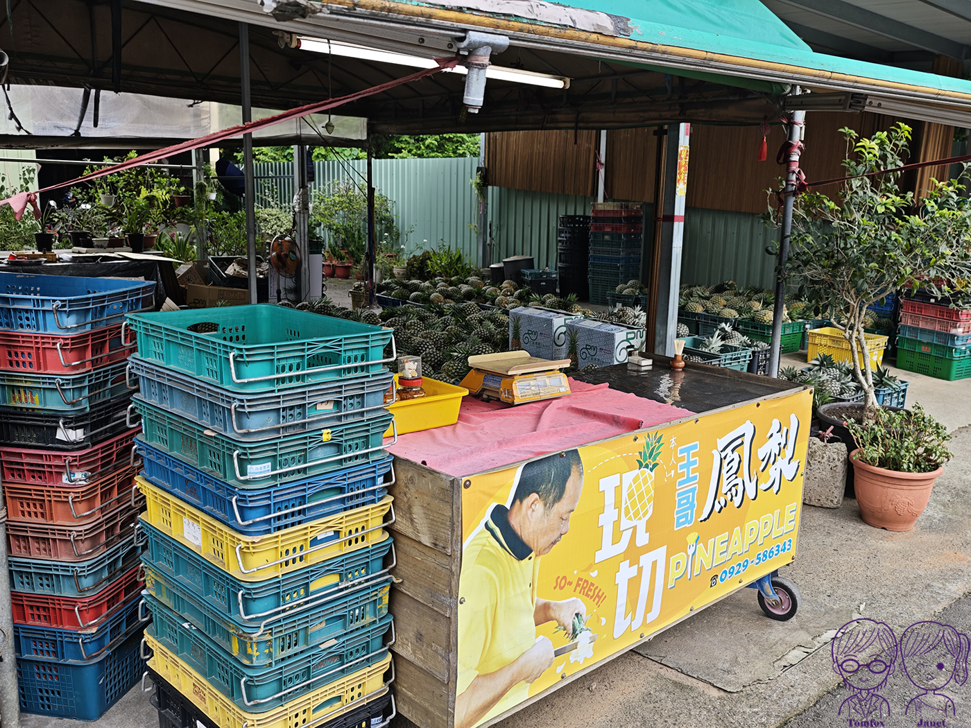嘉義民雄美食|琪琪健康舖手工優格、天然果醬與自產鳳梨,人氣健康甜品店推薦 - 第29張圖 嘉義民雄美食|琪琪健康舖手工優格、天然果醬與自產鳳梨,人氣健康甜品店推薦