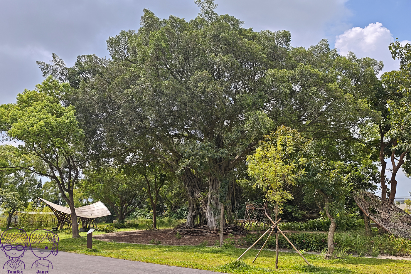雲林斗六免門票景點｜斗六糖廠竹創基地，百年糖廠變身竹藝園區，竹苑親子遊戲場、台糖冰品必吃